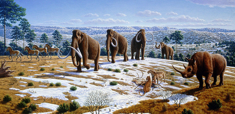 Illustration for article titled En busca de ADN de Doggerland, el trozo de Europa que quedó sumergido tras la Edad de Hielo